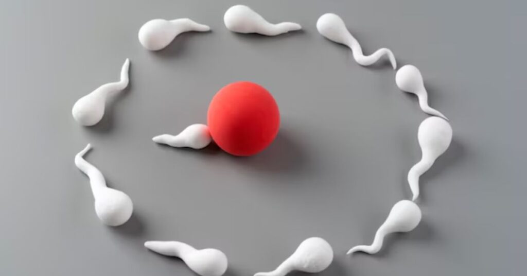fertility centre in Indore, best fertility center in indore, best fertility doctor in indore